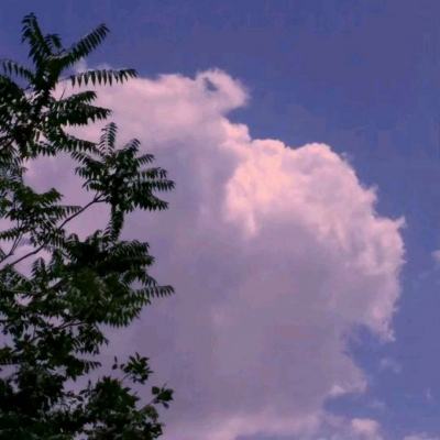果盘少侠江湖志手游下载